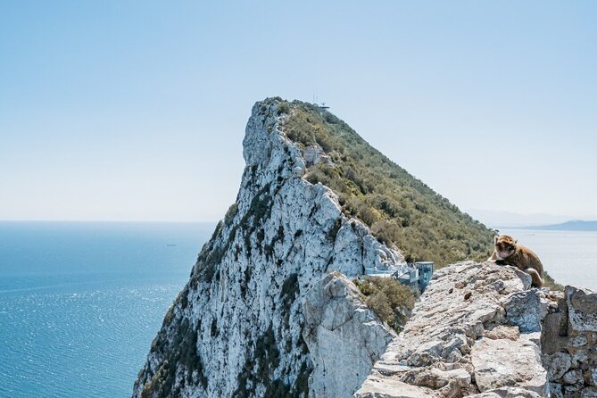From Malaga, Gibraltar excursion with transport - Key Highlights You’ll Actually Notice