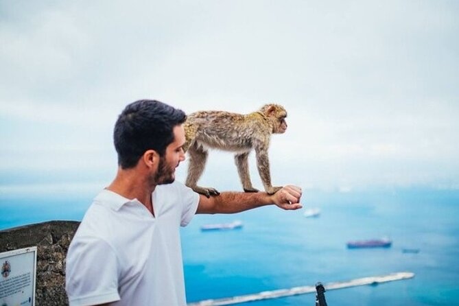 From Malaga, Gibraltar excursion with transport - Price and Value: Why $39.61 Feels Fair for This Setup