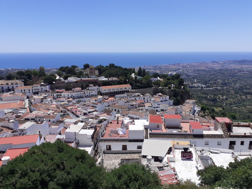 From Malaga or Costa del Sol: Mijas, Marbella & Puerto Banus - Should you book this Mijas, Marbella & Puerto Banús tour?