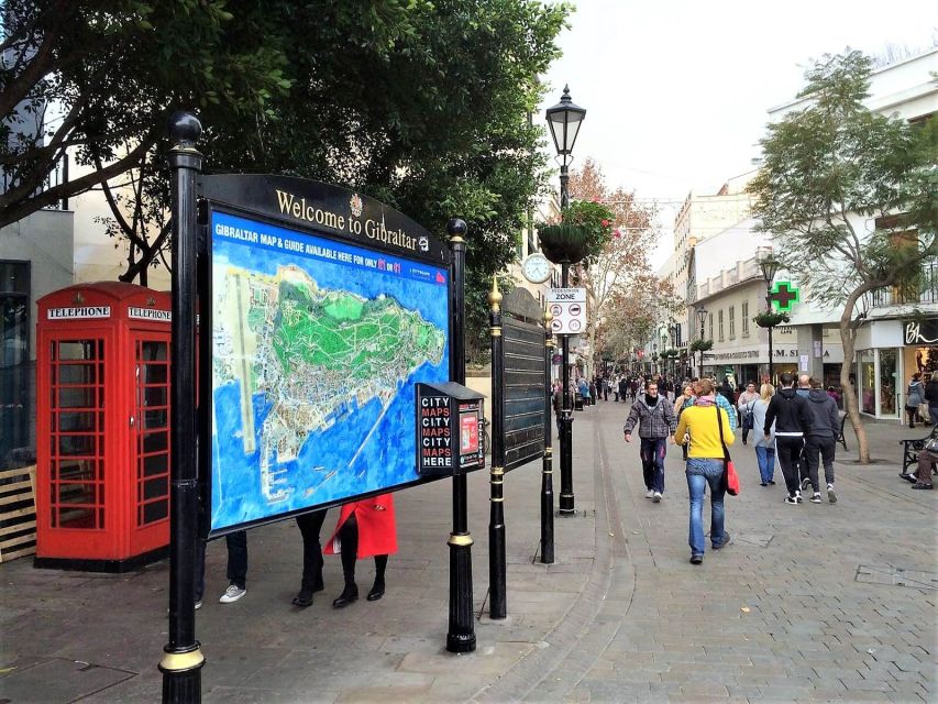 From Málaga or Marbella: Private Gibraltar Tour - The Rock of Gibraltar Nature Reserve: the guided part that saves your time