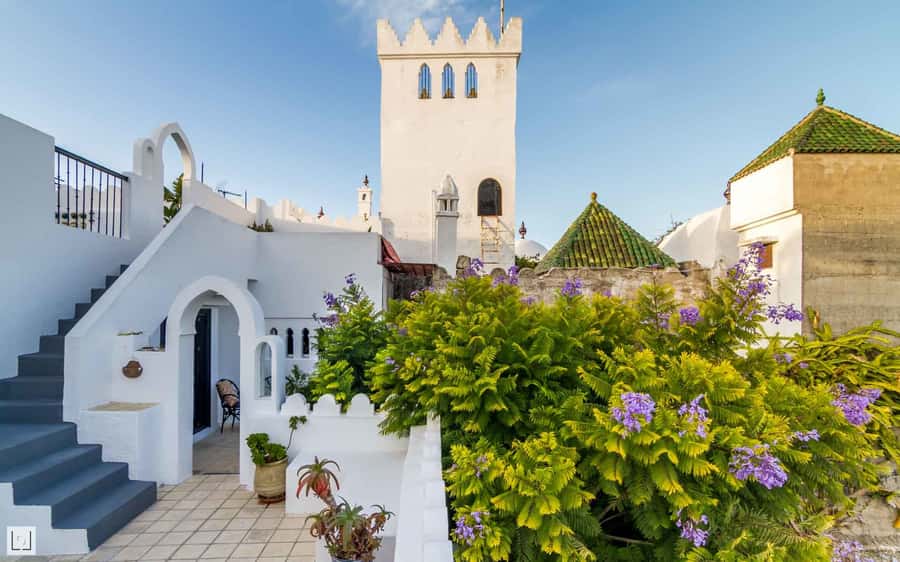 From Malaga or Tarifa: Private Tangier Day Tour - Cap Spartel: where the Atlantic and Mediterranean meet