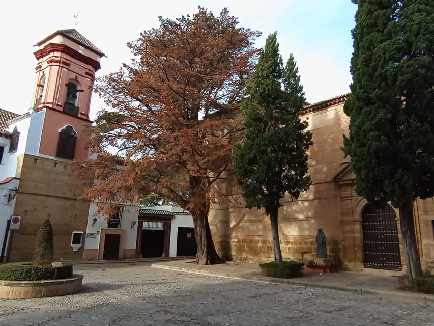 From Malaga: private tour Ronda and Setenil de las Bodegas - How a private local guide improves your day (and not just with facts)
