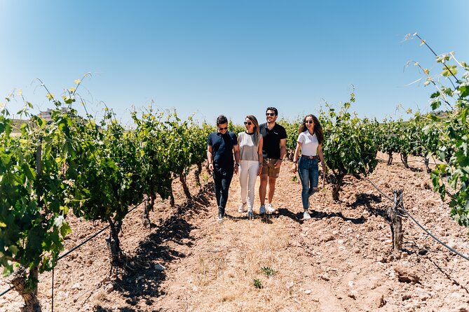 From Malaga: Ronda, Wine & Olive Oil Tasting Premium Small Group - Ronda on Foot: Old Town Orientation, Puente Nuevo, Then Your Own Pace