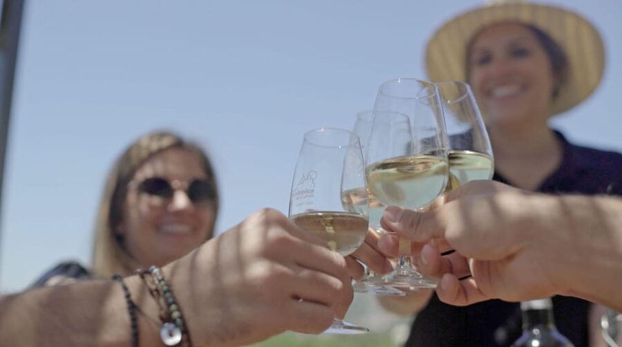 From Málaga: Ronda, Wine & Olive Oil Tasting Small Group - Getting from Málaga: coach time, comfort, and what to expect
