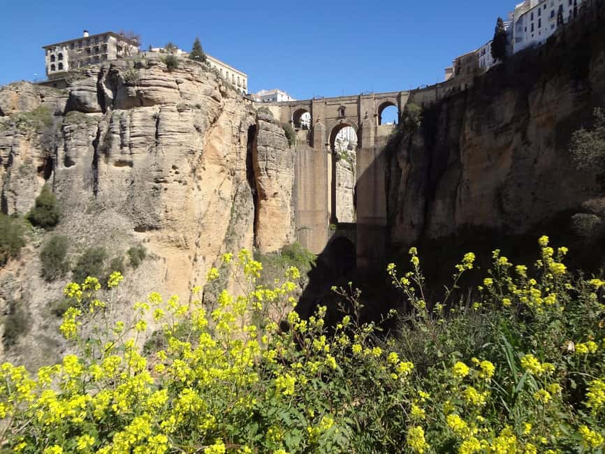 From Malaga: Ronda y Setenil de la Bodegas Day Trip by coach - Should you book this Malaga Ronda y Setenil day trip?