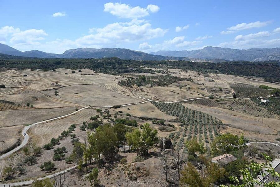 From Malaga: Ronda y Setenil de la Bodegas Day Trip by coach - Old-town lanes, Roman-and-Moor links, and the Cuenca Garden climb