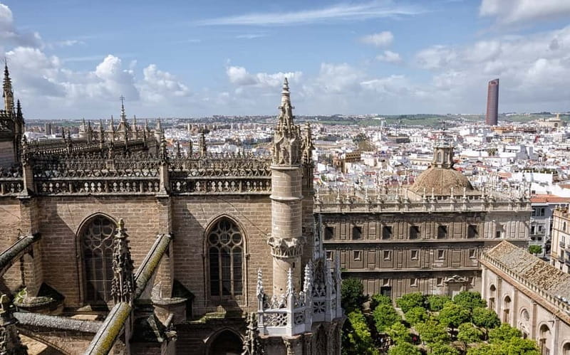 From Malaga: Seville Day Trip with Real Alcázar Tickets - Puerta de Jerez to Santa Cruz: walking Seville like locals do