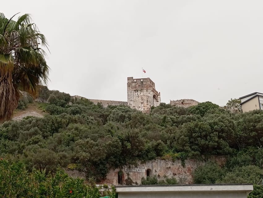 From Torremolinos: Day Trip to Gibraltar - Your 5 hours in Gibraltar: how to spend it without regretting it