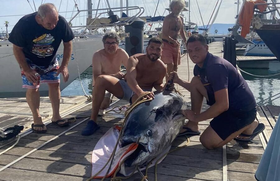 Fuengirola: 4h Trolling Fishing Trip with Snacks and Drinks - Key Things I’d Put on Your Radar