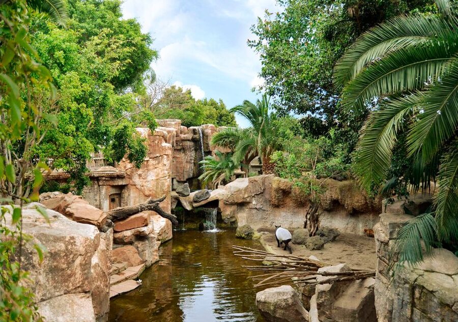 Fuengirola: Bioparc Entrance Ticket - Southeast Asia and Indo-Pacific: The Spot for Komodo Dragons and More