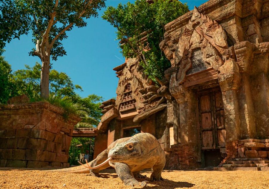 Fuengirola: Bioparc Entrance Ticket - Should You Book the Bioparc Fuengirola Entrance Ticket?