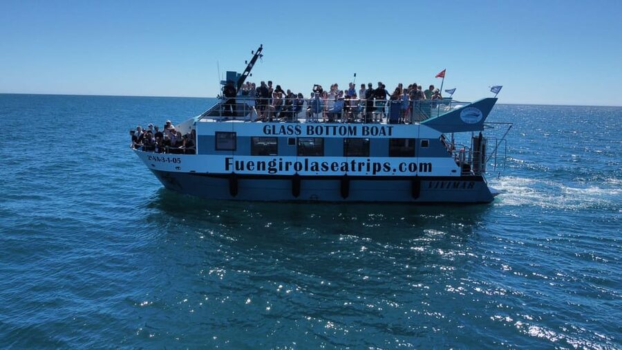 Fuengirola: Catamaran Tour to Spot Dolphins - Key things to know before you go
