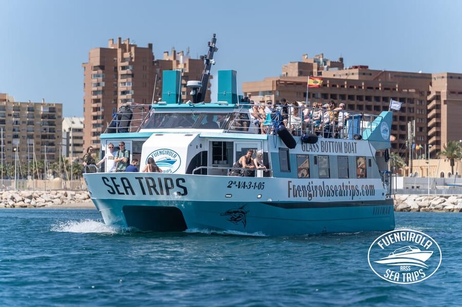 Fuengirola: Catamaran Tour to Spot Dolphins - Fuengirola Harbor Check-In: Gate 3, Dock 3, and the early-arrival move