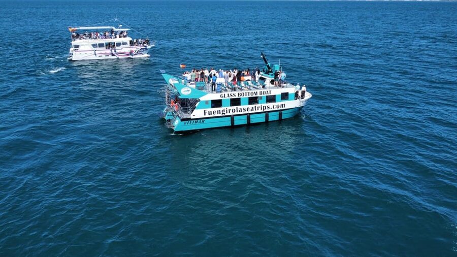 Fuengirola: Catamaran Tour to Spot Dolphins - Where You’ll See Dolphins Best: Upper Floor, Windows, and positioning