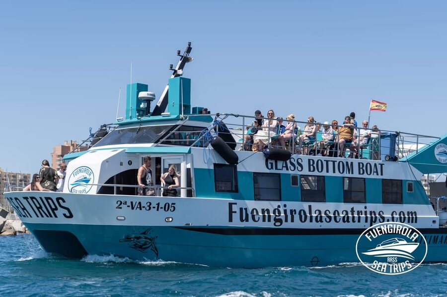 Fuengirola: Catamaran Tour to Spot Dolphins - 2 Hours Out to Spot Dolphins: What the ride actually feels like