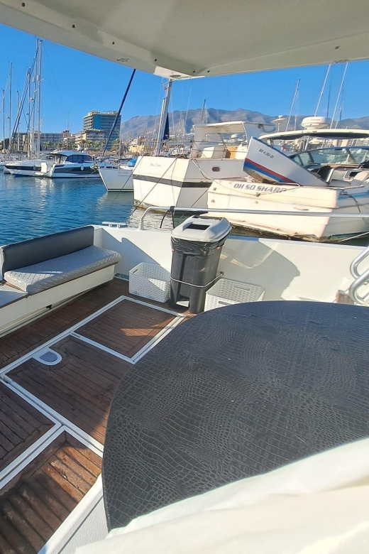 Fuengirola: Dolphin Spotting Tour - Key things I’d watch for