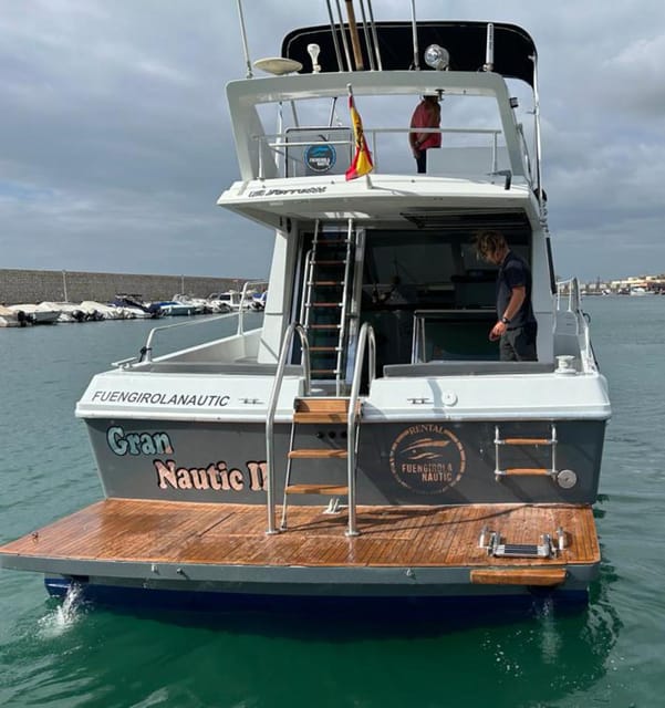 Fuengirola: Dolphin Spotting Tour - Crew care in real weather: what “rough seas” changes