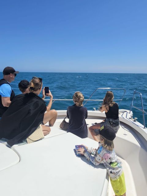 Fuengirola: Dolphin Watching Boat Trip — Fun for All Ages - Who this dolphin watching boat trip is perfect for
