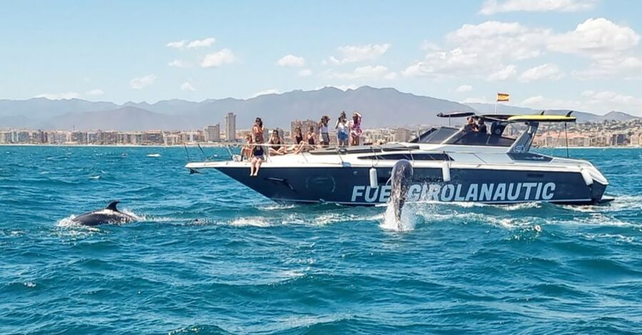 Fuengirola: Dolphin Watching by Yacht with Snacks and Drinks - Who this yacht cruise fits best
