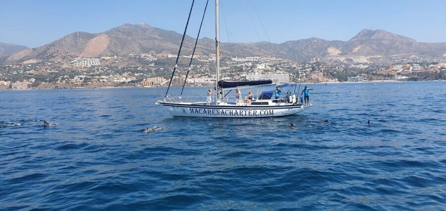 Fuengirola: Dolphin-Watching Sailing Tour with Drinks - Key things to know before you go