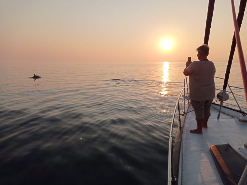 Fuengirola: Dolphin-Watching Sailing Tour with Drinks - From Fuengirola Marina to open water: what the start really feels like