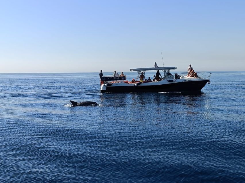 Fuengirola: Fantastic Dolphin Watching Yacht Tour with Drink - The drink factor: included refreshments without the expectation of a party boat