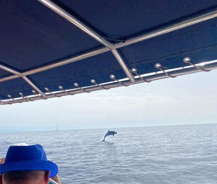 Fuengirola: Fantastic Dolphin Watching Yacht Tour with Drink - Live commentary onboard: turning sighting luck into real understanding