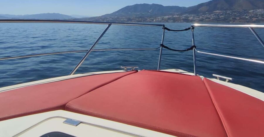 Fuengirola: Fantastic Dolphin Watching Yacht Tour with Drink - The actual dolphin hunt: what you’re really signing up for