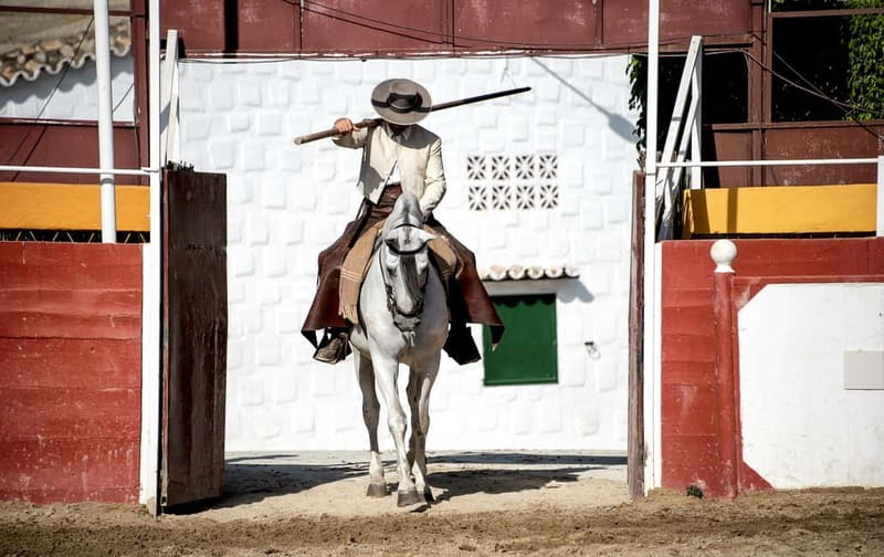 Fuengirola: Spanish Horse Show with Optional Dinner/Flamenco - Key points to know before you go