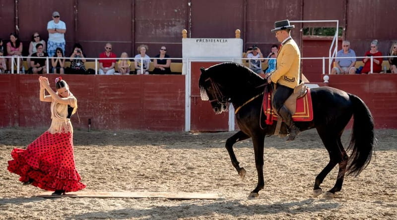 Fuengirola: Spanish Horse Show with Optional Dinner/Flamenco - Where Fuengirola’s Spanish-night energy comes from