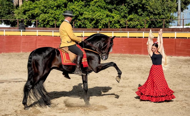 Fuengirola: Spanish Horse Show with Optional Dinner/Flamenco - The 18:00 Cartujano horse show: more than a performance