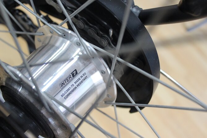 Full Day Bike Rental in Malaga - Price and Value: Why $16.82 Can Feel Like a Steal