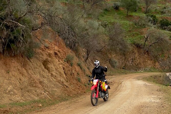 Full-Day Motorbike OFF ROAD Tour around Málaga - Montes de Málaga Natural Park: Forest Tracks and Photo Breaks