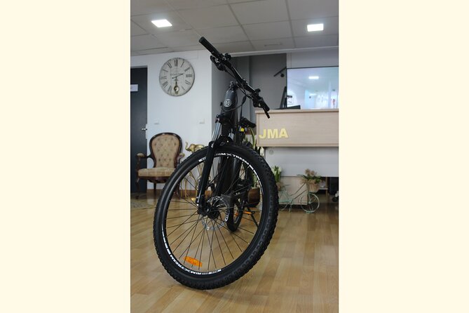 Full Day Rental of Electric Mountain E-Bike - Practical planning: timing, fitness level, and where you’ll start