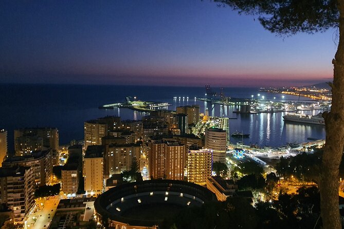 Gibralfaro Castle, Port & Bullring Segway Tour in Málaga - Price and Value: What $42.91 Buys You in Málaga