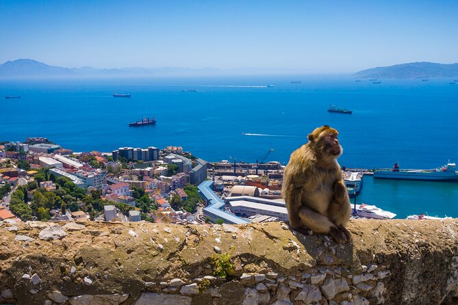Gibraltar and Mijas Tour from Málaga - Main Street to Mijas: How Mijas Pueblo Feels Like a Reset Button