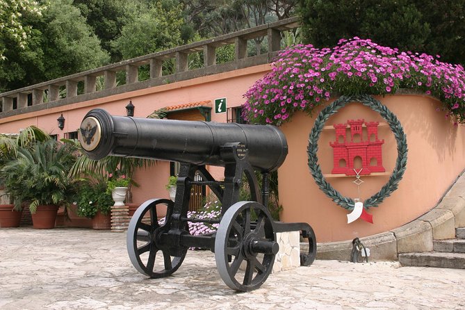 Gibraltar Express: Sightseeing Full Day Tour from Costa del Sol - Quick take: what matters most on this Gibraltar day trip