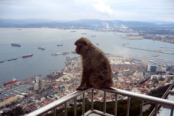 Gibraltar Express: Sightseeing Full Day Tour from Costa del Sol - Guides and vibe: when humor and history actually make the day better