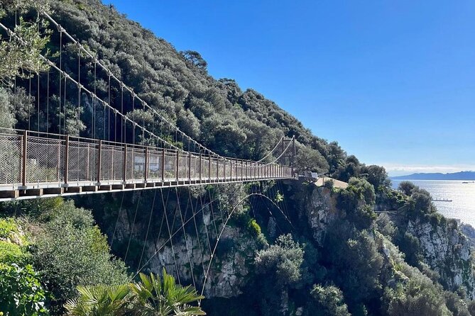 Gibraltar Private Daytrip From Malaga - Private transfers from Malaga to Gibraltar, with a border handoff that saves time