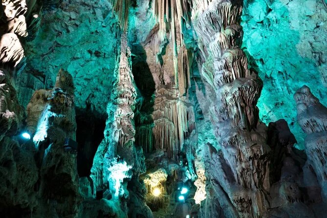 Gibraltar Private Tour from Malaga and Surrounding Areas - Rock First: Apes Den and Why the Macaques Are the Real Hook