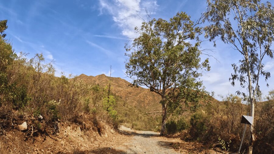 Guided Buggy Tour Mijas - Price and value: $170 per group makes sense when you add it up