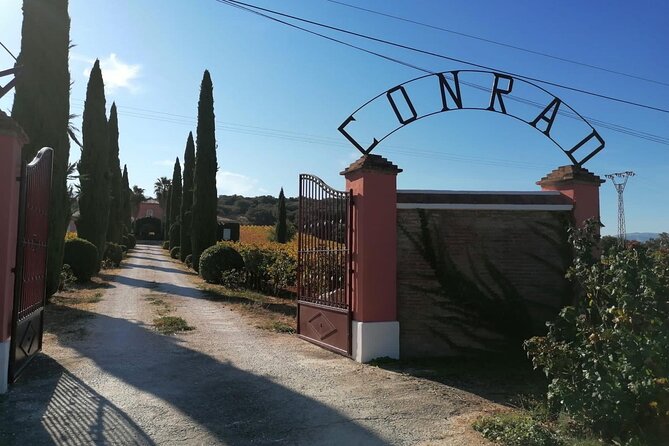 Guided Cellar Tour and wine tasting - Key Things I’d Book This For