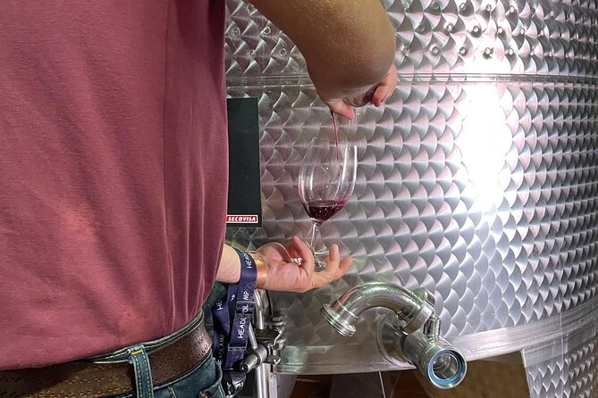 Guided Cellar Tour and wine tasting - A Feng Shui Winery in Ronda: What You’re Actually Visiting
