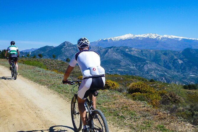 Guided Mountain Bike Adventure - Key Highlights You’ll Feel on the Ride