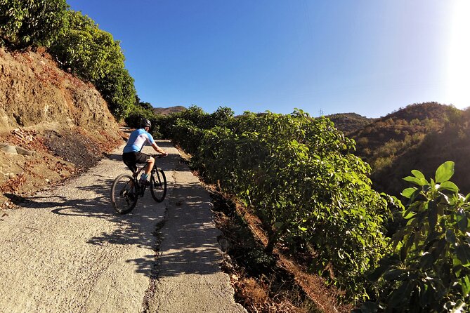 Guided Mountain Bike Adventure - Timing, Meet-Up Location, and How to Plan Your Day Around It