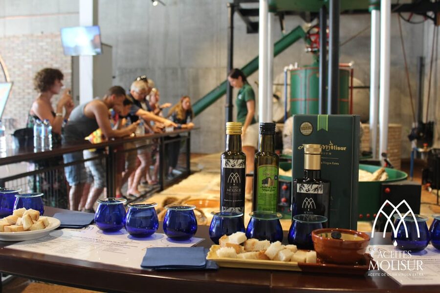 Guided tour and oil tasting at the Aceites Molisur factory - A tour where you smell, not just listen
