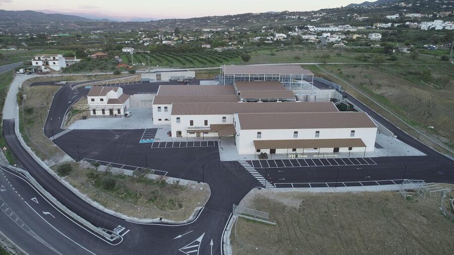 Guided tour and oil tasting at the Aceites Molisur factory - The production area: from reception to storage