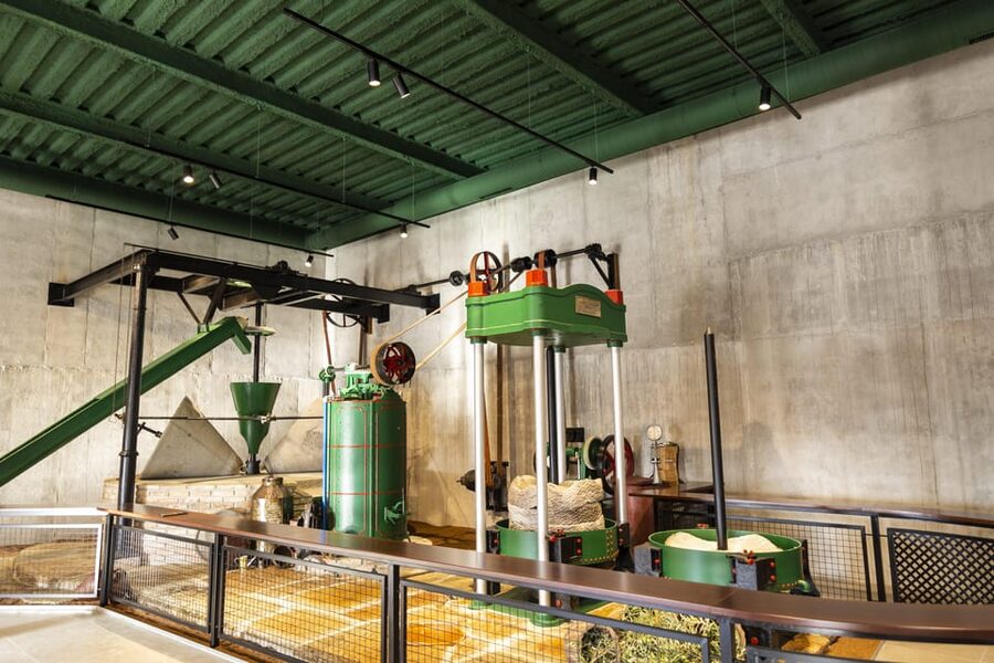 Guided tour and oil tasting at the Aceites Molisur factory - Languages, guide style, and what to listen for