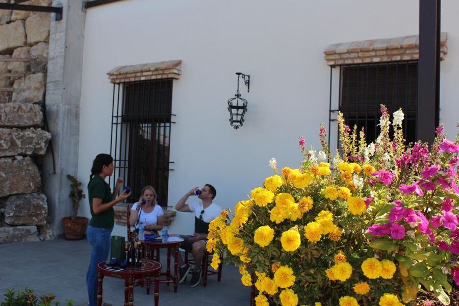 Guided tour and oil tasting at the Aceites Molisur factory - Who should book this Aceites Molisur tour