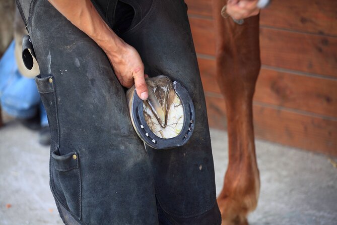 Guided tour of the stables of El Ranchito in Malaga - Price and Value: Is $17.96 a Good Deal?